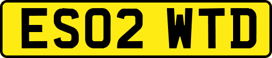 ES02WTD