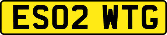 ES02WTG