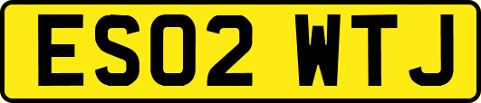 ES02WTJ