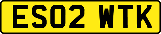 ES02WTK