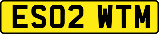 ES02WTM