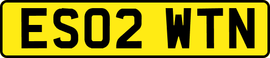 ES02WTN