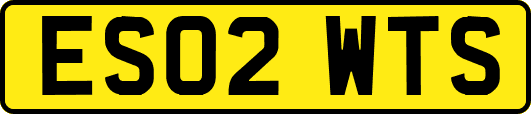 ES02WTS