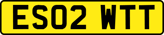 ES02WTT