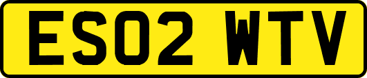 ES02WTV