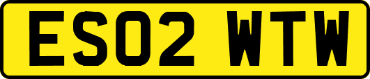 ES02WTW