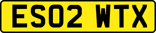 ES02WTX