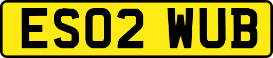 ES02WUB