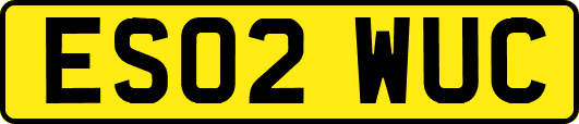 ES02WUC
