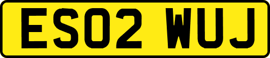 ES02WUJ