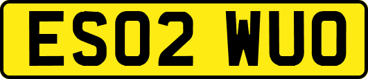 ES02WUO