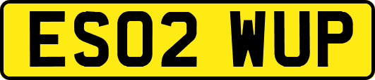 ES02WUP
