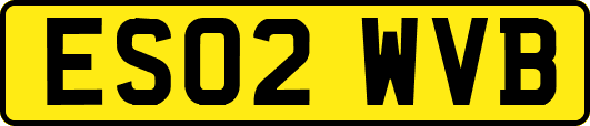 ES02WVB