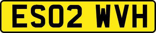 ES02WVH