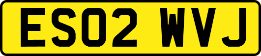 ES02WVJ