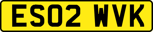 ES02WVK