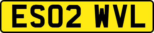 ES02WVL