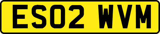ES02WVM