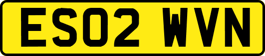 ES02WVN