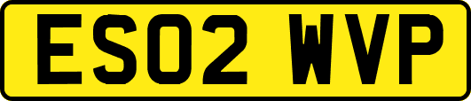 ES02WVP