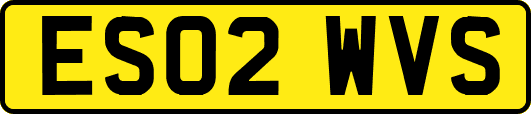 ES02WVS