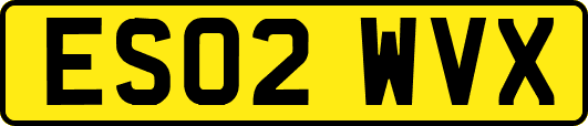 ES02WVX