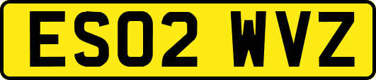 ES02WVZ