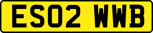 ES02WWB
