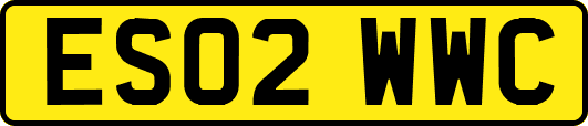 ES02WWC