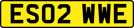 ES02WWE