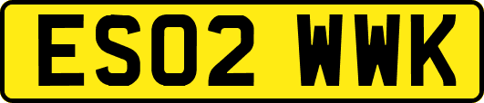 ES02WWK