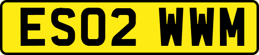 ES02WWM