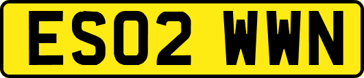ES02WWN