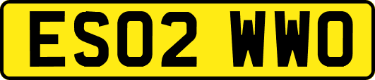 ES02WWO