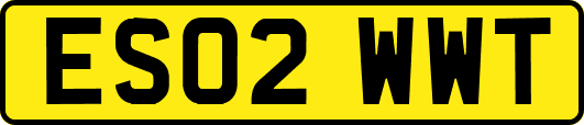 ES02WWT