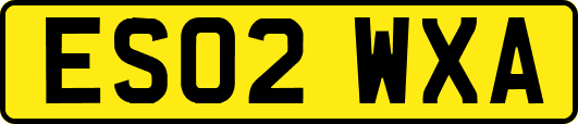ES02WXA