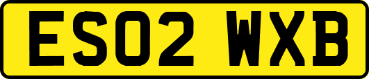 ES02WXB