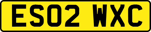 ES02WXC