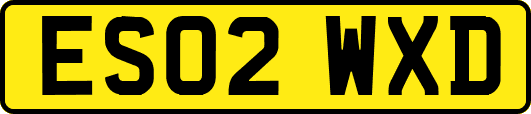 ES02WXD