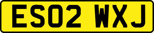 ES02WXJ