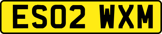 ES02WXM