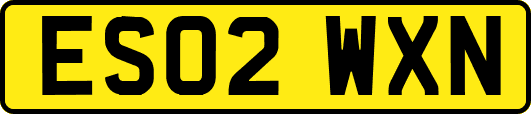 ES02WXN