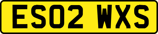 ES02WXS
