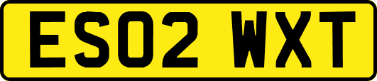 ES02WXT