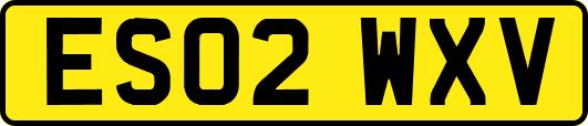 ES02WXV