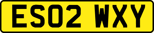 ES02WXY