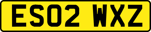 ES02WXZ