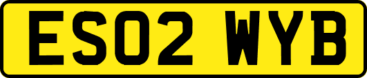 ES02WYB