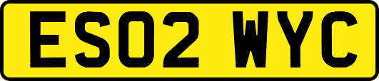 ES02WYC