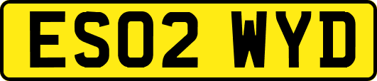 ES02WYD